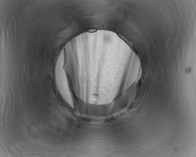 X0000095130080200712301834