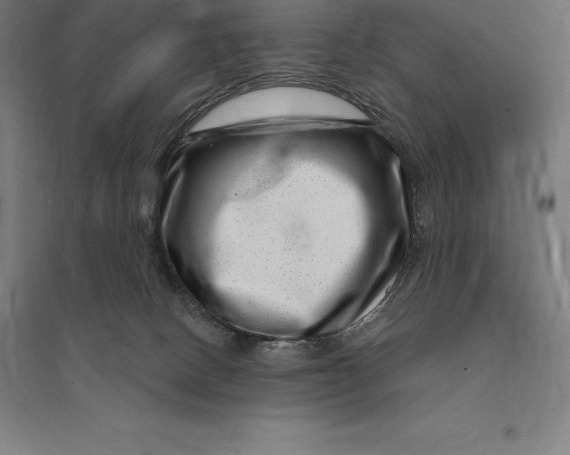 X0000095130082200712301834