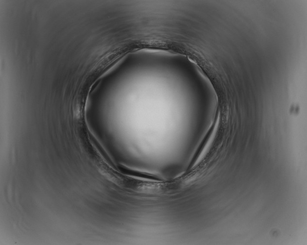 X0000095130084200712301834