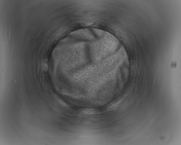 X0000095130085200712301834