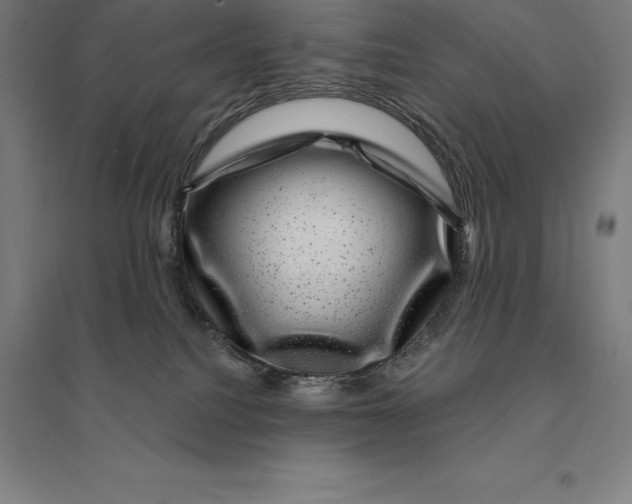 X0000095130088200712301834