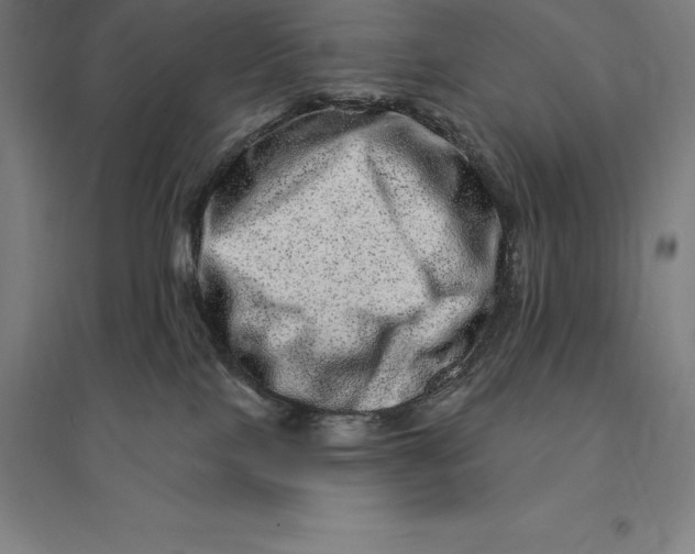 X0000095130089200712301834