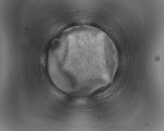 X0000095130090200712301834