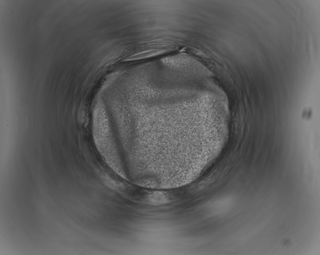 X0000095130091200712301834