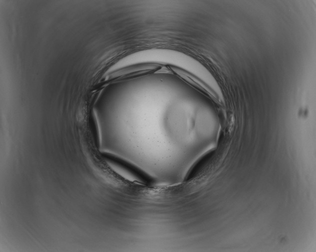 X0000095130092200712301834