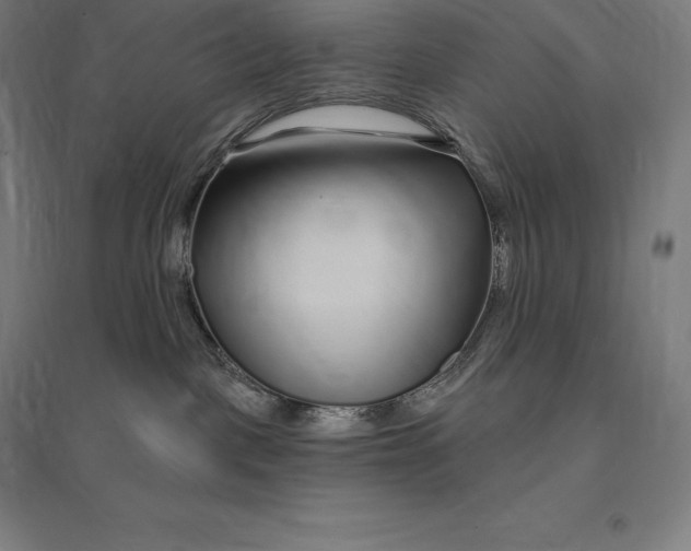 X0000095130093200712301834