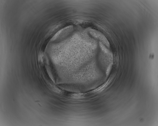 X0000095130094200712301834