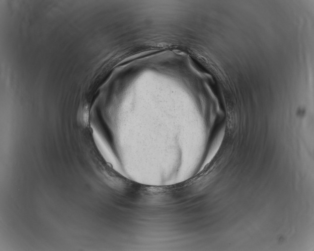 X0000095130095200712301834