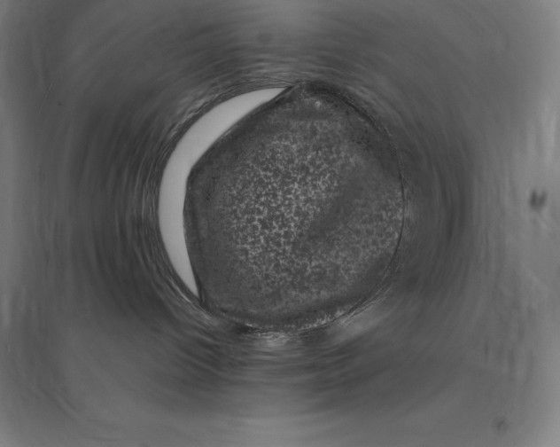 X0000095130096200712301834