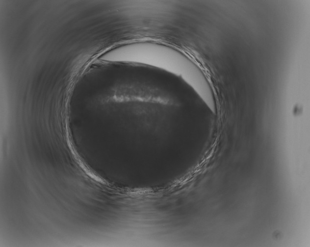 X0000095130097200712301834