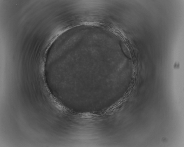 X0000095130098200712301834