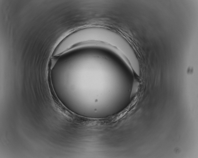 X0000095130100200712301834