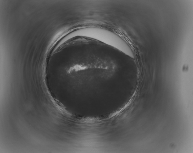 X0000095130101200712301834