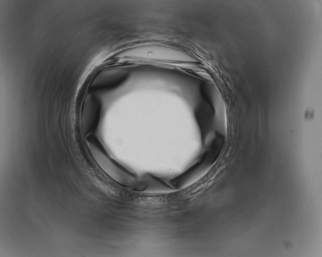 X0000095130102200712301834