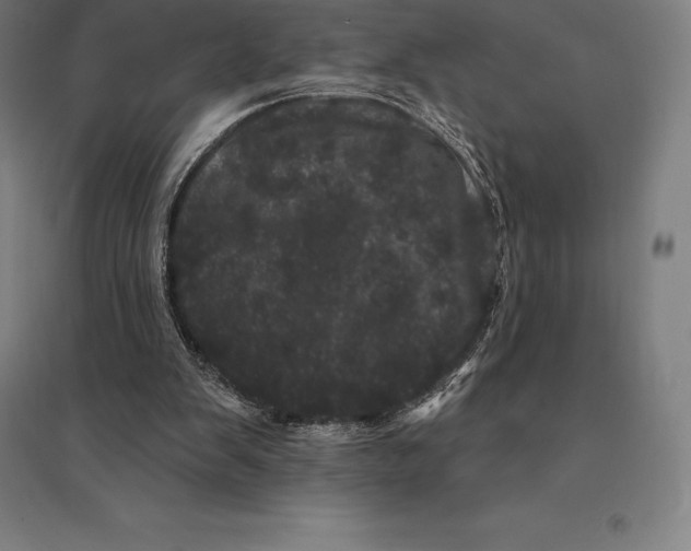 X0000095130103200712301833