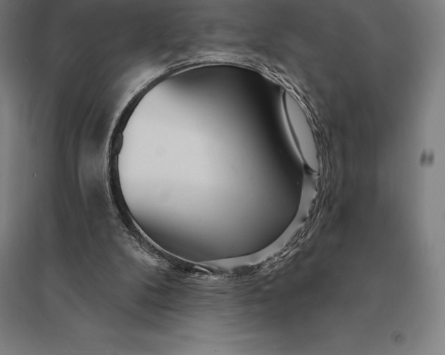 X0000095130104200712301833