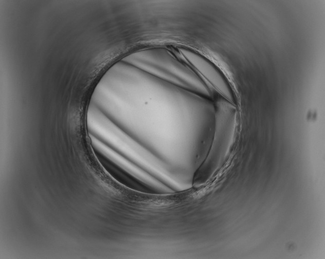 X0000095130105200712301833