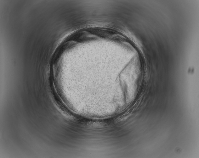 X0000095130107200712301833