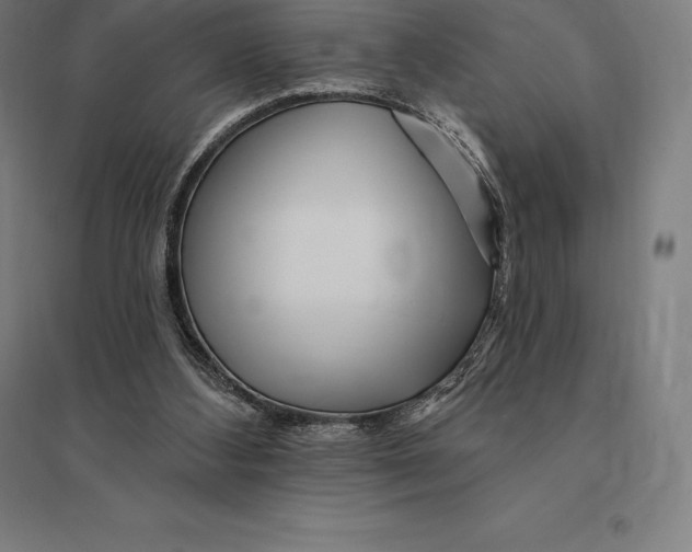 X0000095130108200712301833