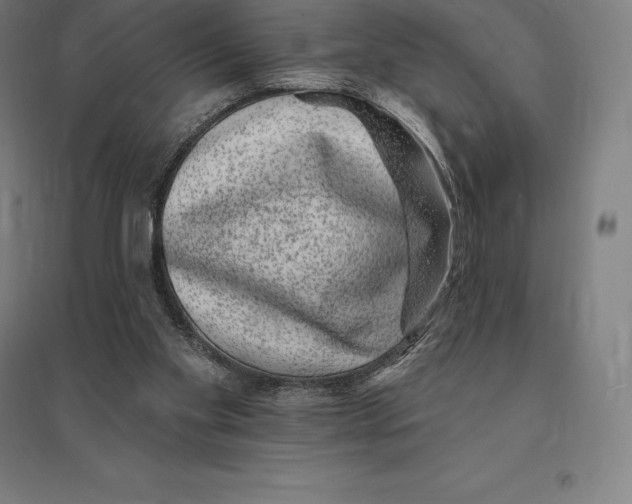 X0000095130109200712301833