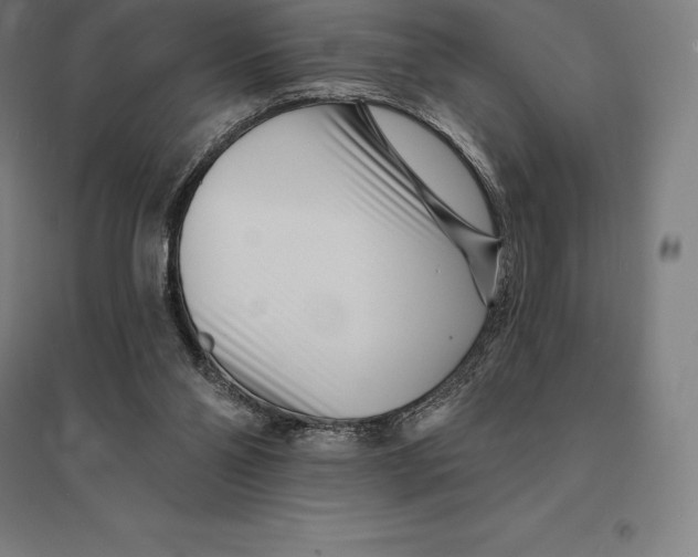 X0000095130110200712301833