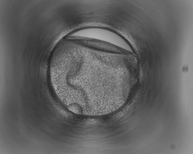 X0000095130111200712301833