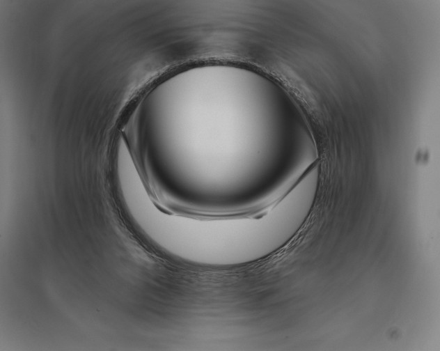 X0000095130112200712301833