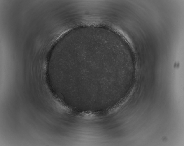 X0000095130113200712301833