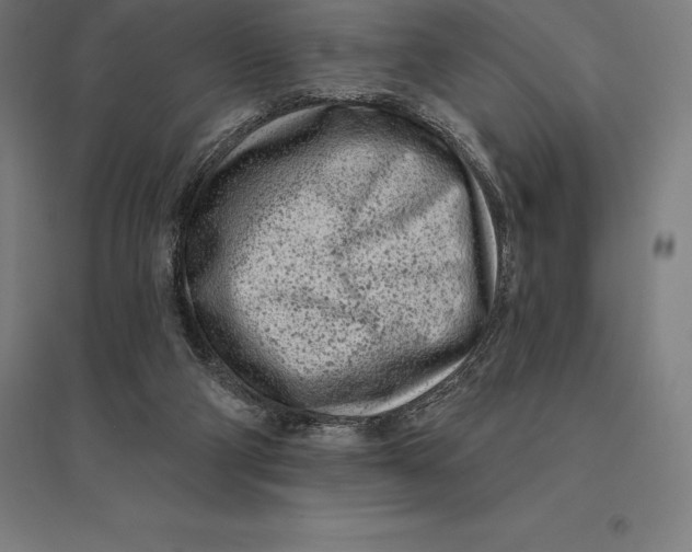 X0000095130114200712301833