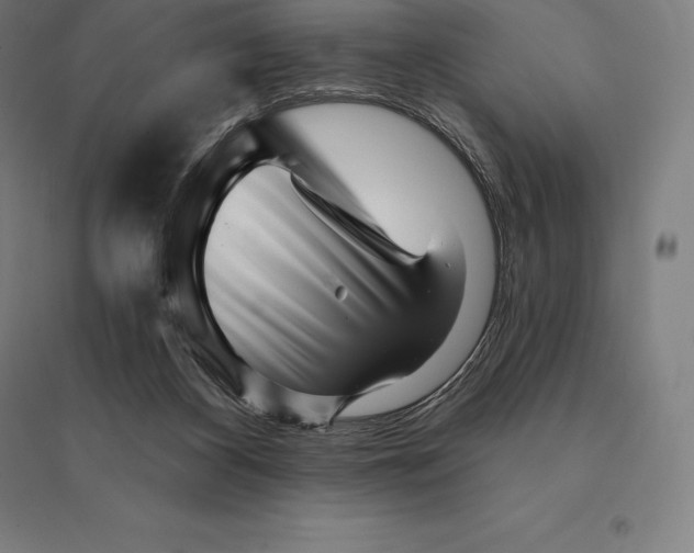 X0000095130116200712301833