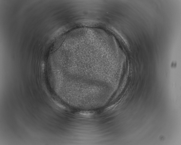 X0000095130117200712301833