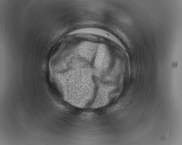 X0000095130119200712301833