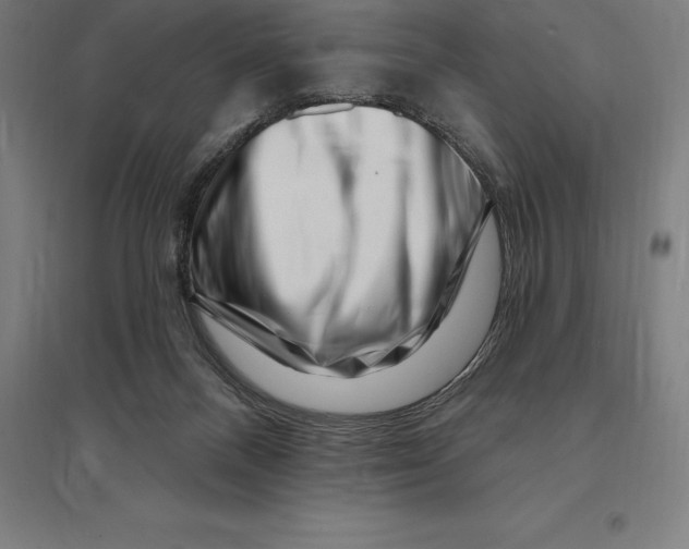 X0000095130120200712301833