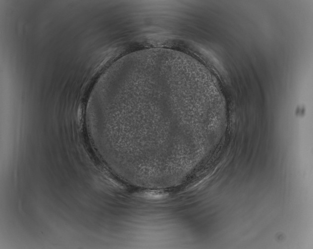 X0000095130121200712301833