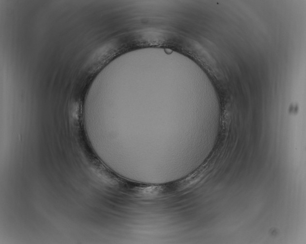 X0000095130122200712301833