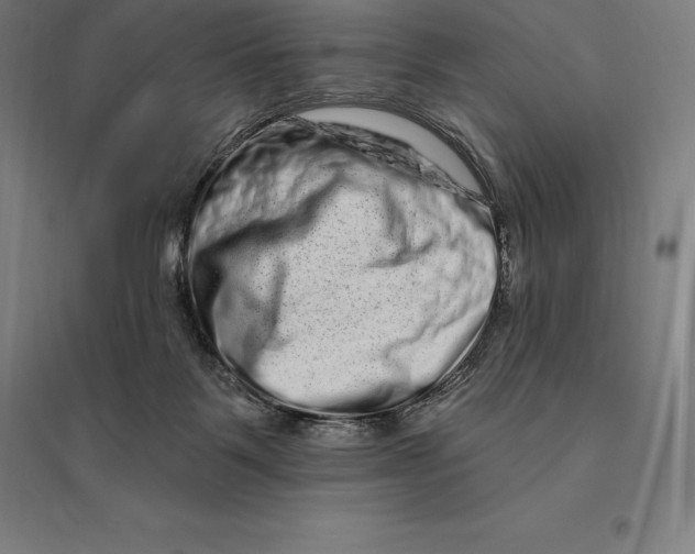 X0000095130123200712301833