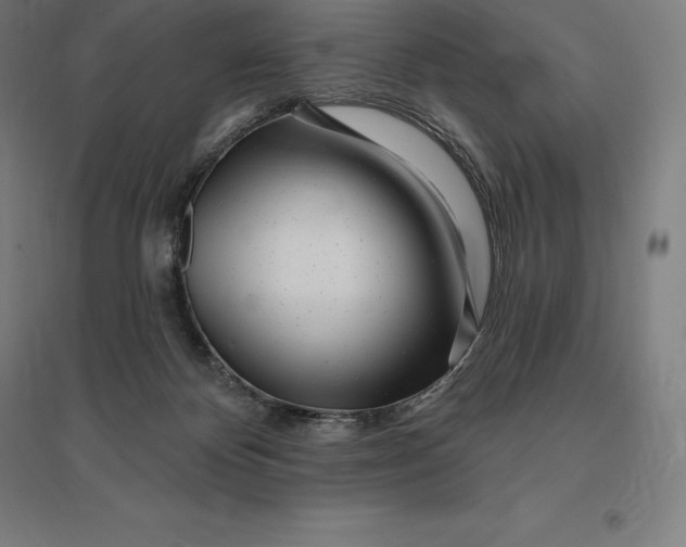 X0000095130124200712301833