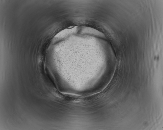 X0000095130125200712301833