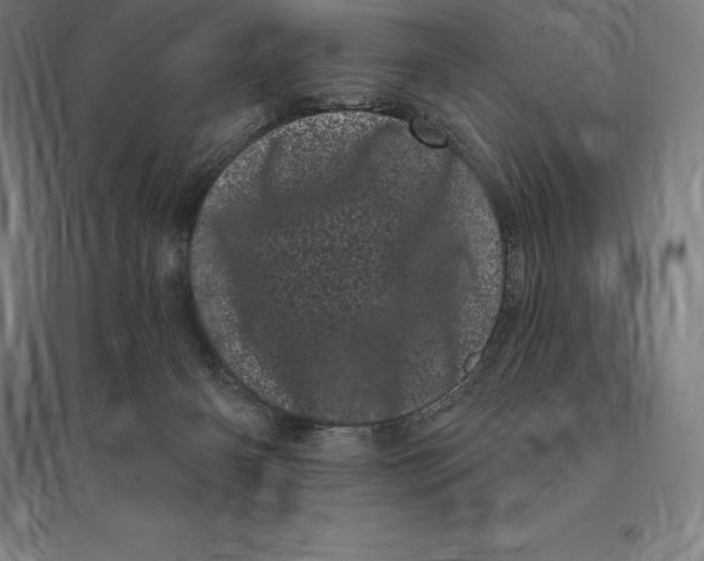 X0000095130126200712301833