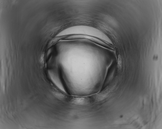 X0000095130127200712301833