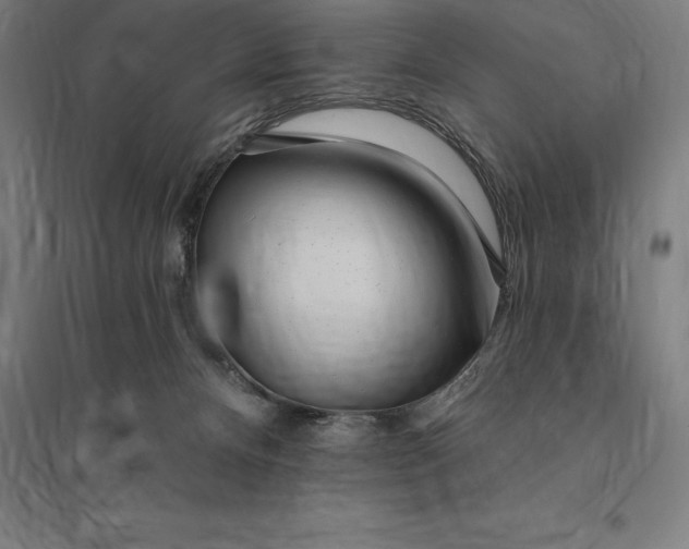 X0000095130128200712301833