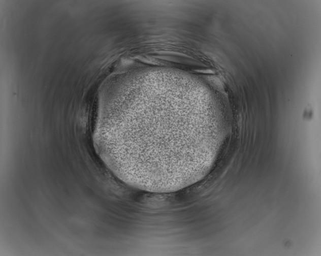 X0000095130129200712301833