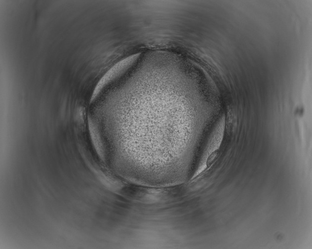 X0000095130130200712301833