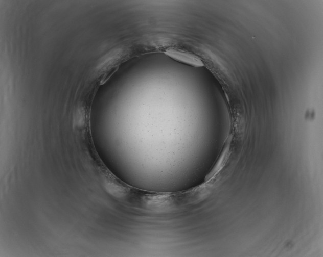 X0000095130132200712301833