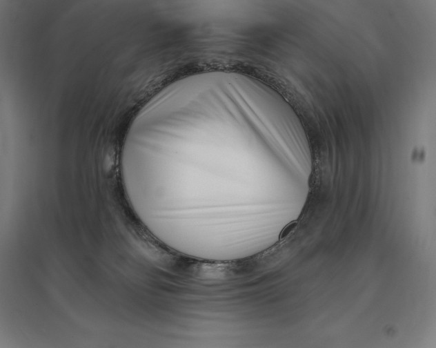 X0000095130134200712301833