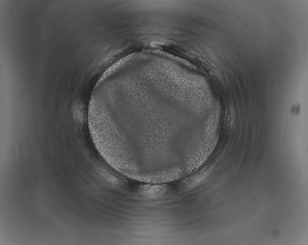 X0000095130135200712301833