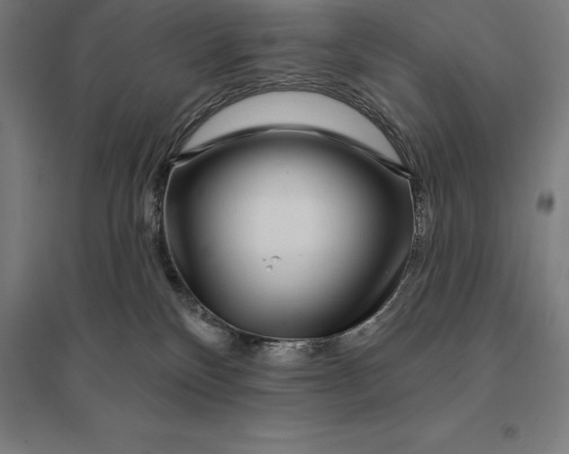 X0000095130136200712301833