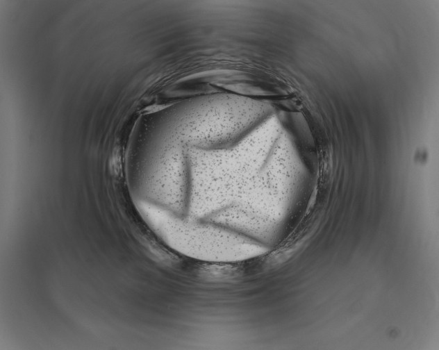 X0000095130137200712301833