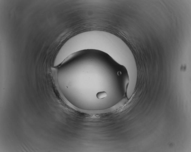 X0000095130140200712301833