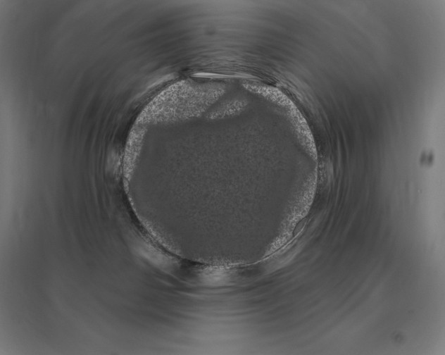 X0000095130142200712301833